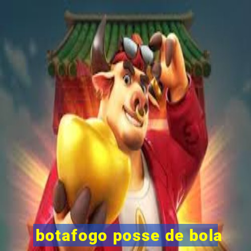 botafogo posse de bola